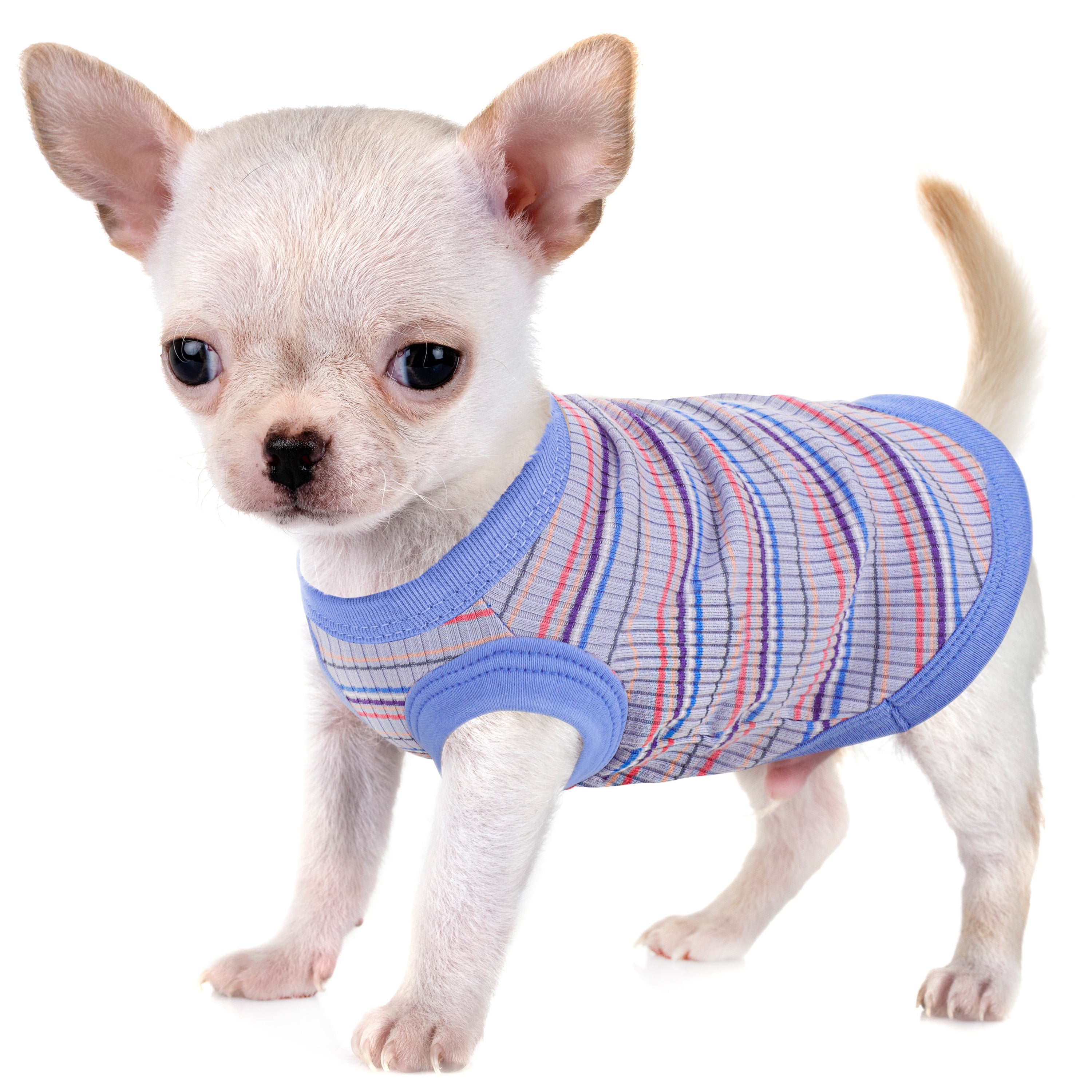 Mini Dog Vest - Soft Ribbed Pink Striped Tank Top for X Small Dogs to XXL