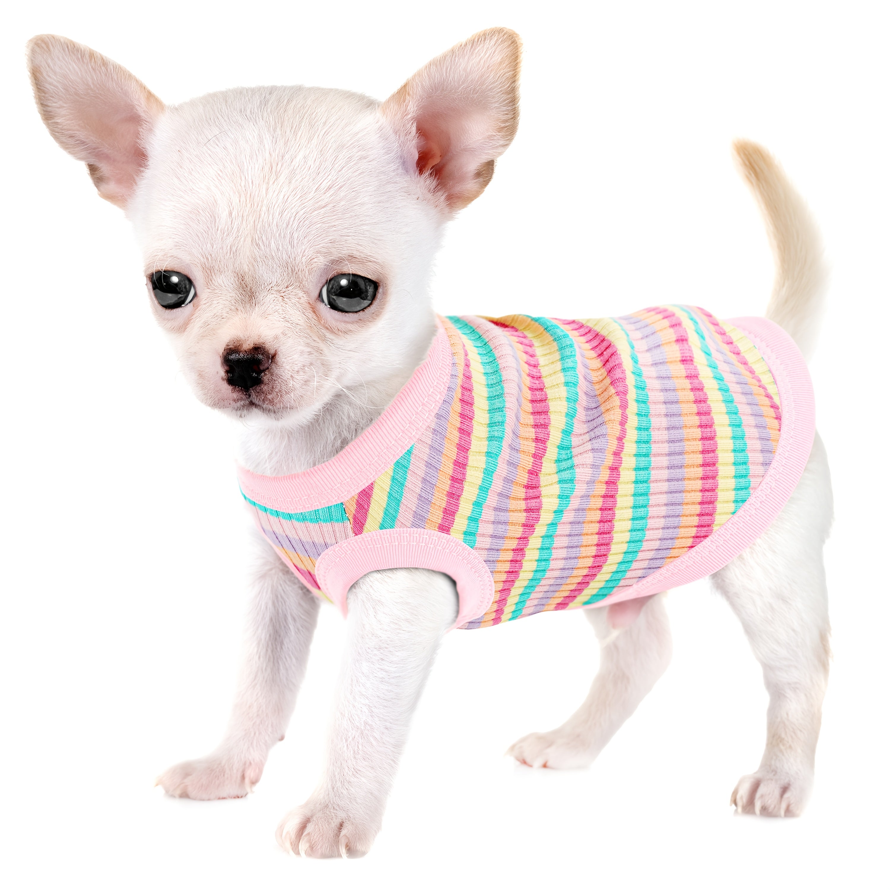 Mini Dog Vest - Soft Ribbed Pink Striped Tank Top for X Small Dogs to XXL