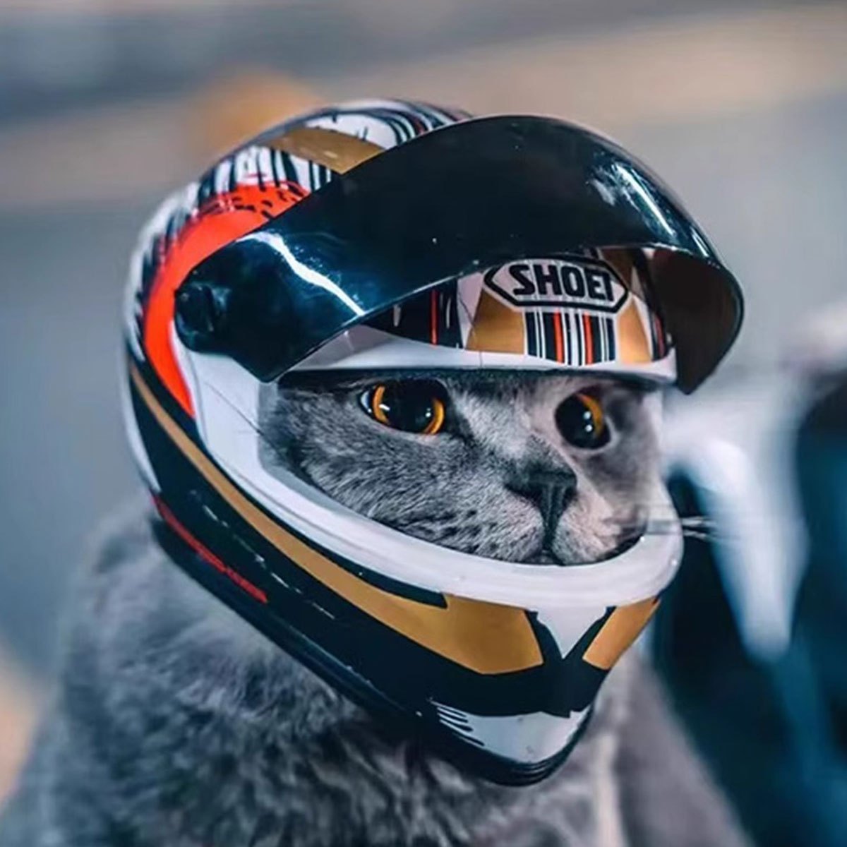 Mini Cat Motorcycle Helmet - Adorable Pet Safety Hat for Cats & Small Dogs