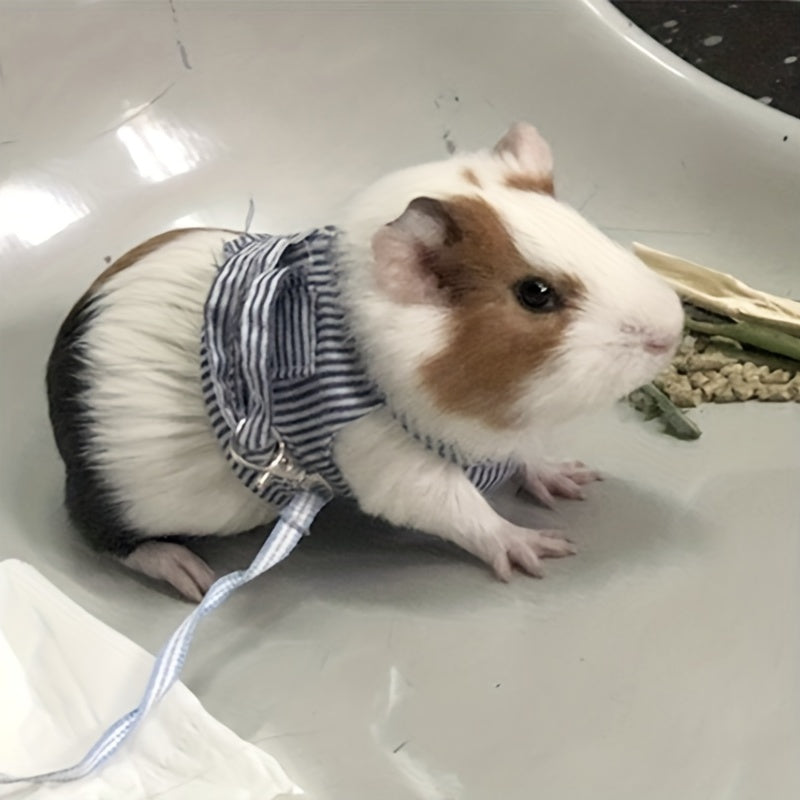 Mini Bunny Harness & Leash Set - Small Pet Walking Harness for Rabbits & Guinea Pigs