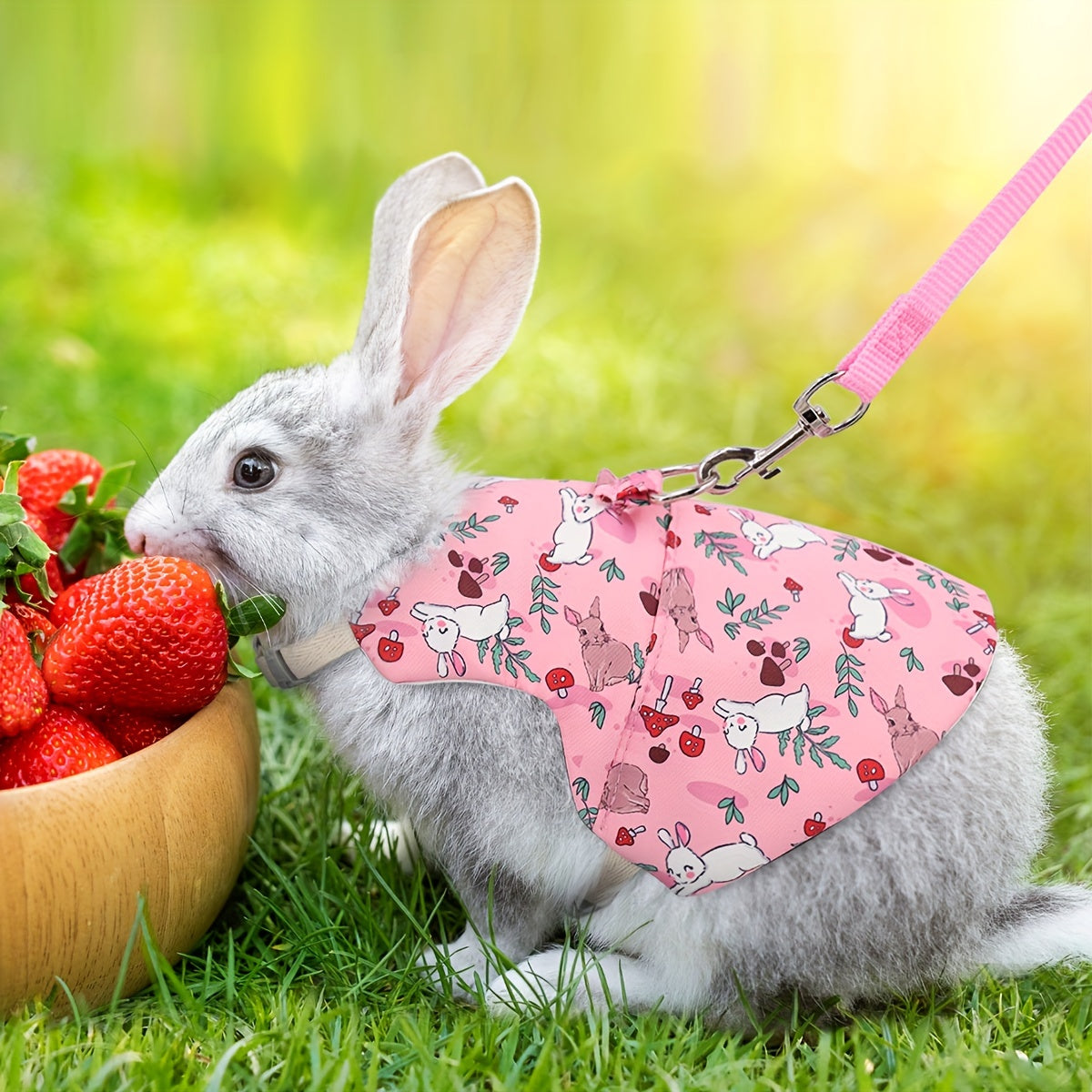 Mini Breathable Rabbit Harness & Leash Set - Soft Pet Harness for Small Animals